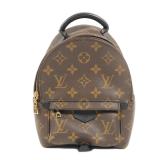 LV GHW Palm Spring Mini Brown