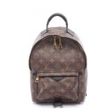 Louis Vuitton Palm Springs PM