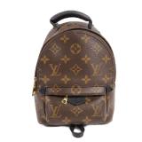 Louis Vuitton Palm Spring Mini