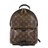 Louis Vuitton Palm Springs PM Bag
