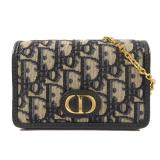 Dior 30 Montaigne Nano Blue