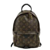 LV Palm Springs PM Backpack Brown