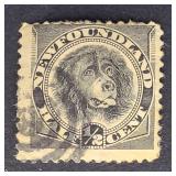 Newfoundland Stamp 1894 Dog Black 1/2c