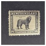 Newfoundland Stamp 1944 Newfoundland Dog 14ï¿½