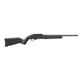 New Ruger 10/22 Carbine ( 22 LR )