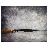 Remington ( 12 GA )