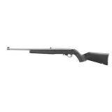 New Ruger 10/22 ( 22 LR )