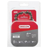 Oregon 12ï¿½ Chainsaw Bar & S45 ChainG