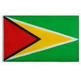 Guyana Flag 3x5 Foot Guyanese National