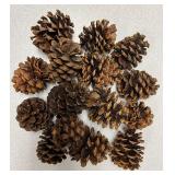 Lot of Cinnamon Scented Pinecones (3