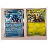 Pokemon: Palafin/Rowlet