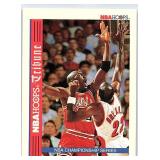 1993 SKYBOX HOF MICHAEL JORDAN CARD