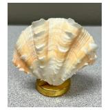 Pacific Clam Shell on Pedestal ( 2in) patented