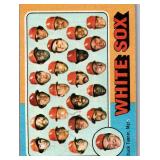 1975 TOPPS Chicago White Sox #276