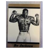 Bo Jackson Bo Knows promo card