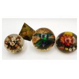 4 Lucite Paperweights Natural Wonders Beetle