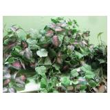 Decorative Floral Items See Info