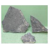 Three Rock Pieces All With Fossils