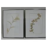 Two 12.5 X 16.5 Framed Dried Flowers