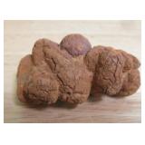 Coprolite / Dinosaur Poop