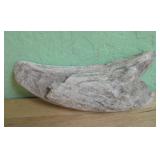 Inside Part Of Buffalo Horn