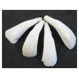 Four Pieces Buffalo Ivory - Buffalo Teeth