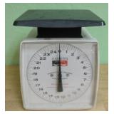 Hanson 25 Pound Utility Scale