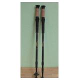 Cascade Mountain Tech Trekking Poles