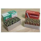 Remington 22 LR & Federal 22 LR - 100 Rounds