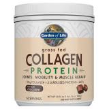 Garden of Life Grass Fed Collagen - Chocolate