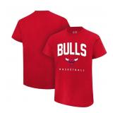 14-20A3 Ultra Game Men's NBA Official Teamster...