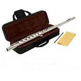 $64 C Flute 16 Key Closed Hole - Beginner Flute to