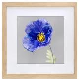 $42 VNVNK 24x24 Frame Natural Wood Color, Perfect