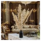 $13 Dried Pampas Grass A003