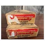 Hornady Varmint Express .204 Ruger Ammunition