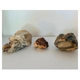 Assorted Petrified Wood and Minerals