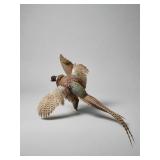 Pheasant Taxidermy Wall Mount