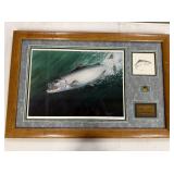 Larry Anderson Sockeye Salmon Art