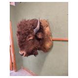 Buffalo Mount