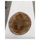 Stretched Beaver Pelt Display