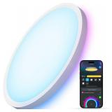 Govee Smart Ceiling Light