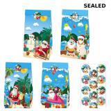 IRCOR Christmas in July Goodie Bags Hawaiian Chris