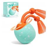 Hoochii Interactive Dog Rolling Ball Toy