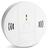 Smoke and Carbon Monoxide Detector Alarm