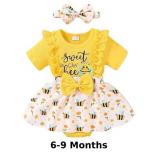 Infant Baby Girl Summer Outfits