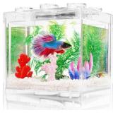 Small Betta Fish Tank
