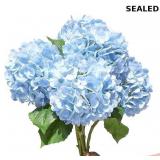 5PCS 20'' Blue Artificial Hydrangea Flowers