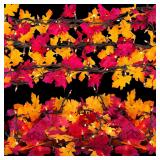 FESTGLOX  Fall Leaves Lights
