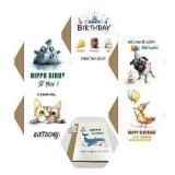 Tashchow Funny Happy Birthday Card x6