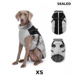 Dog Winter Coat with Harness